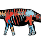 Reconstructed skeleton and body silhouette of Patagotitan mayorum showing preserved elements from the six specimens. (Image: J. L. Carballido et al., 2017)